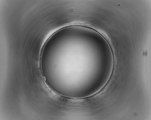 X0000092001296200709061431