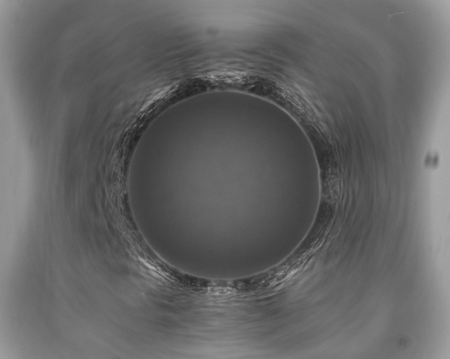 X0000092001297200709061430
