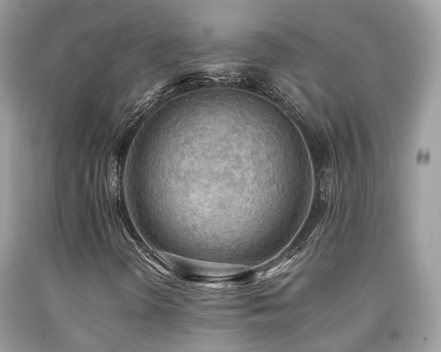 X0000092001298200709061430