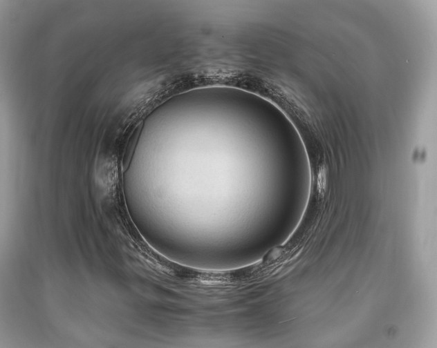 X0000092001299200709061430