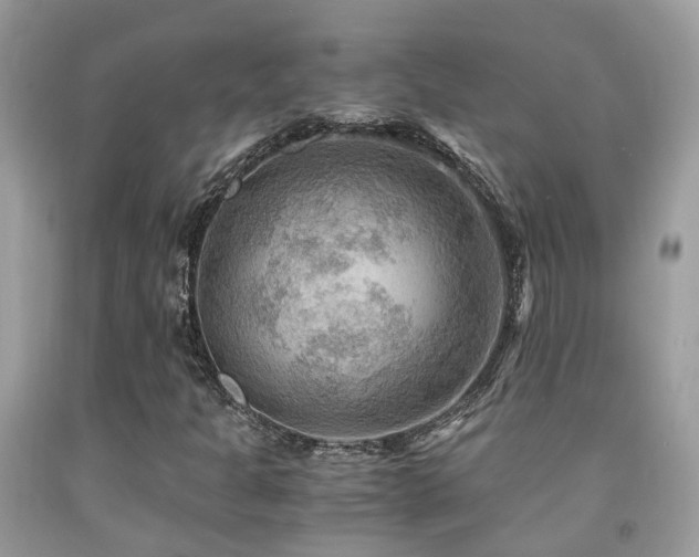 X0000092001301200709061430
