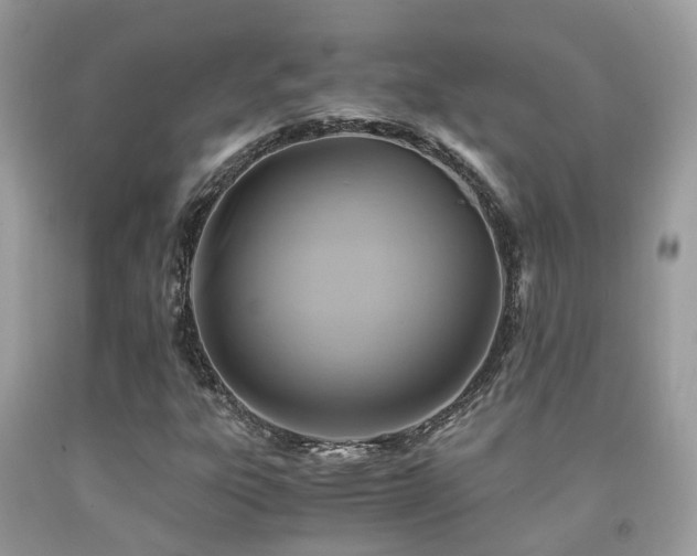 X0000092001303200709061430