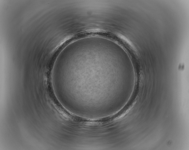 X0000092001305200709061430