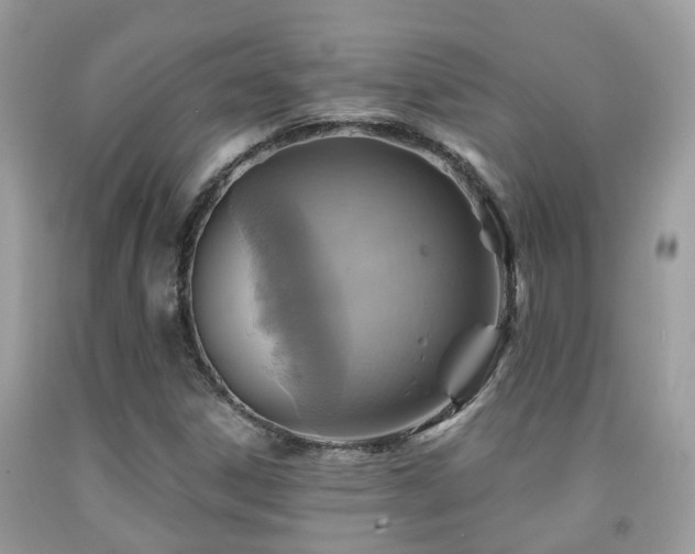 X0000092001306200709061430