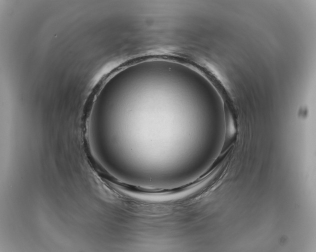X0000092001308200709061430