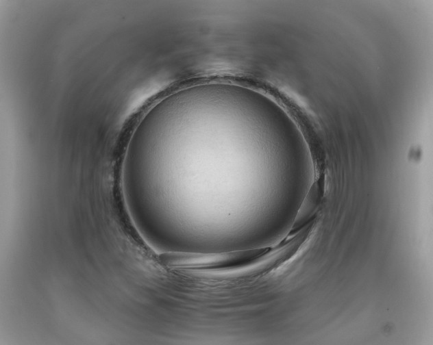 X0000092001309200709061430