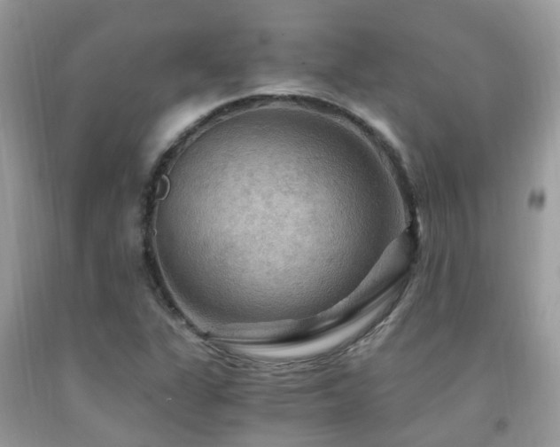 X0000092001311200709061430