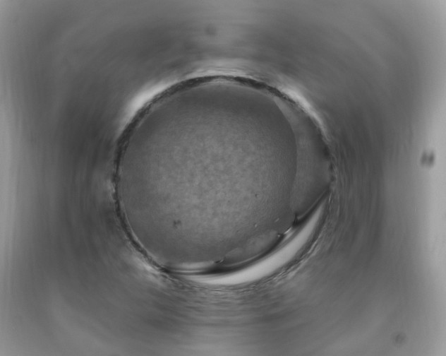 X0000092001312200709061430