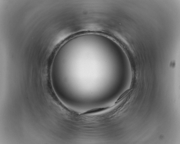 X0000092001315200709061430