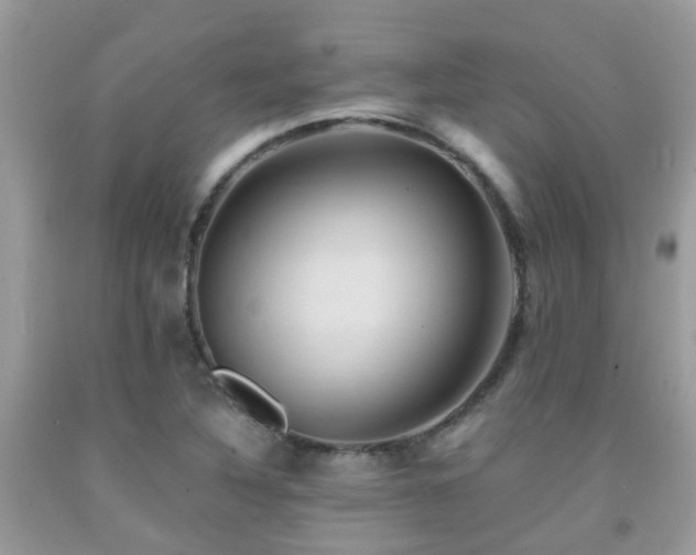 X0000092001316200709061430