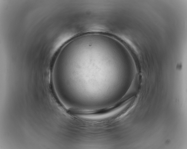 X0000092001317200709061430