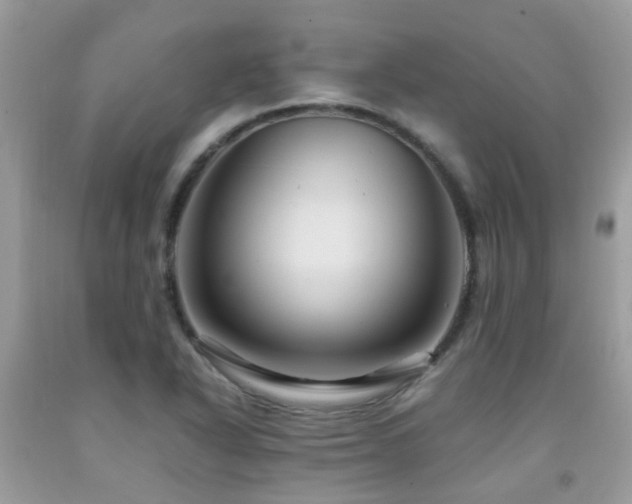 X0000092001318200709061430