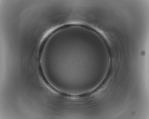 X0000092001319200709061430