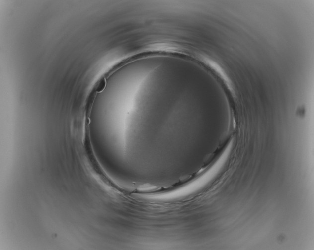 X0000092001323200709061431