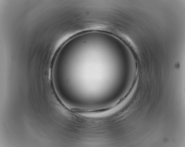 X0000092001324200709061431