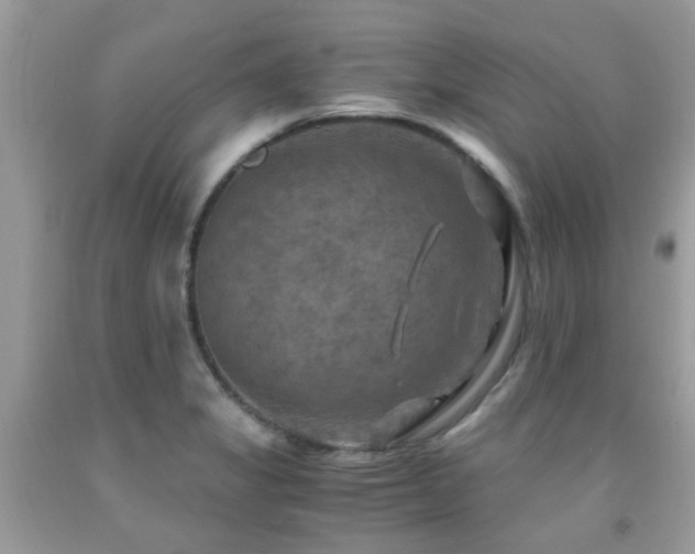 X0000092001325200709061431
