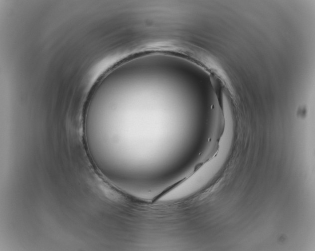 X0000092001328200709061431