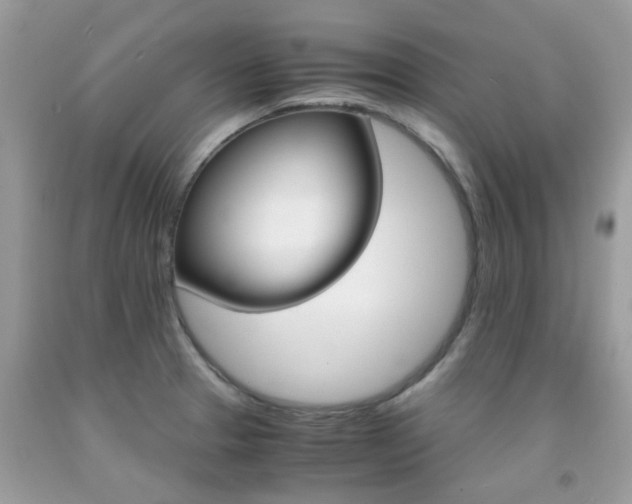 X0000092001329200709061431