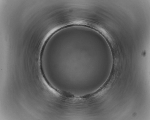 X0000092001331200709061431