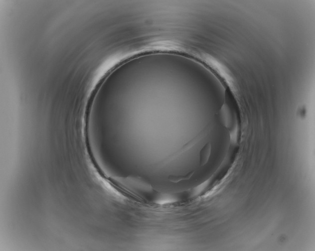 X0000092001334200709061431