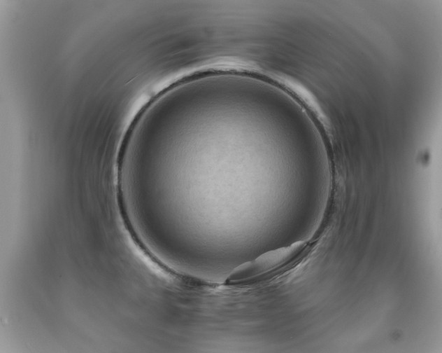X0000092001335200709061431