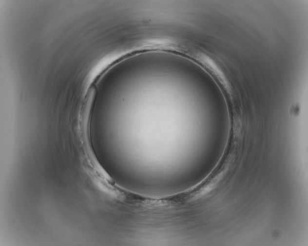 X0000092001336200709061431