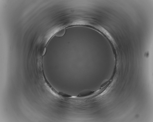 X0000092001337200709061431
