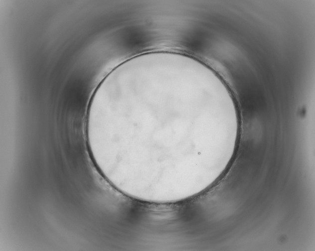 X0000092001338200709061431