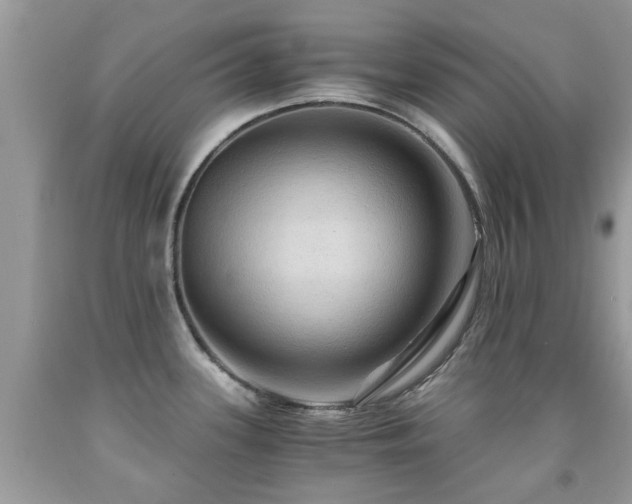 X0000092001339200709061431