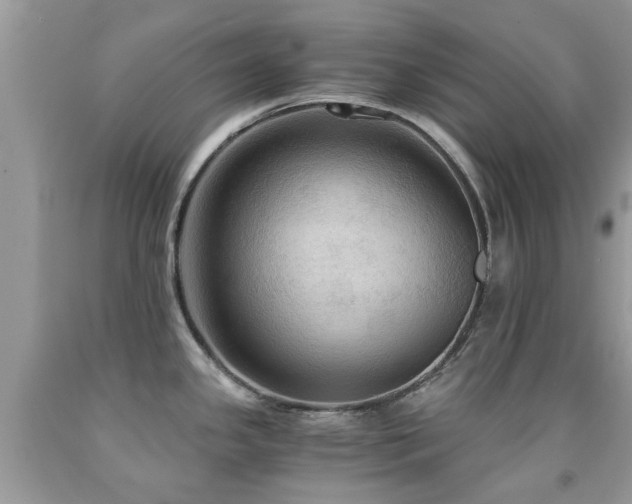 X0000092001341200709061431
