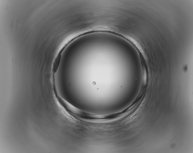 X0000092001342200709061431