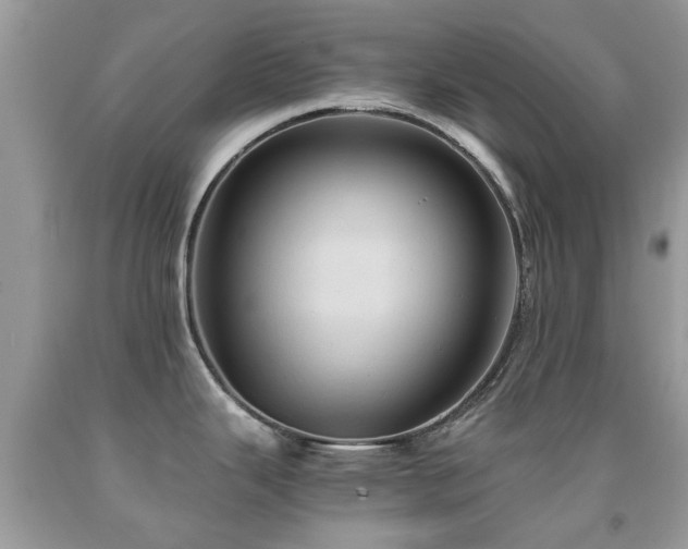 X0000092001343200709061431