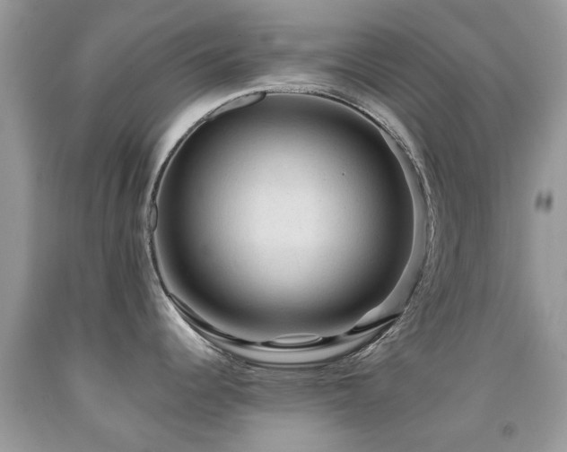 X0000092001344200709061431