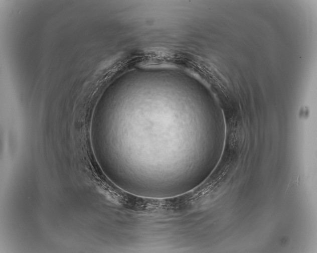 X0000092001345200709061430