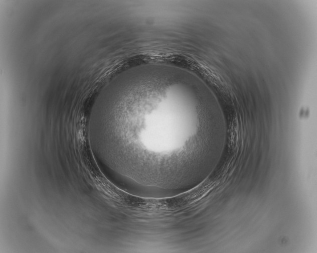 X0000092001346200709061430