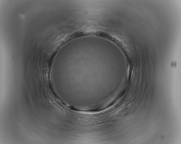 X0000092001348200709061430