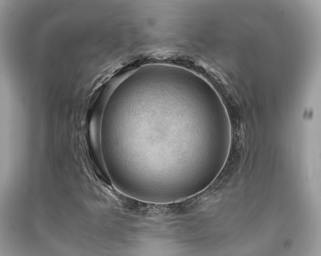 X0000092001349200709061430