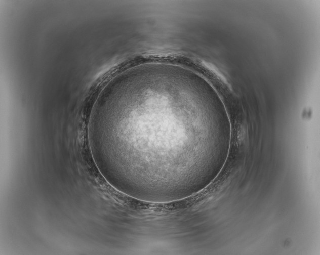 X0000092001350200709061430