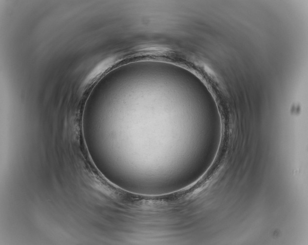 X0000092001354200709061430