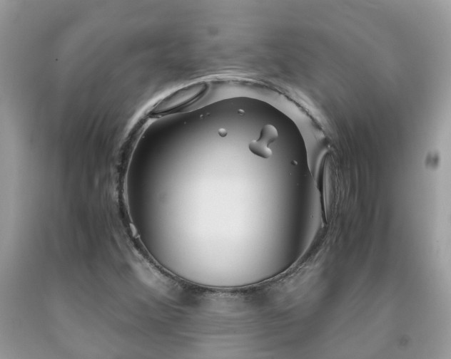 X0000092001356200709061430