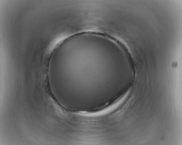 X0000092001359200709061430