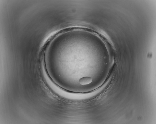 X0000092001360200709061430