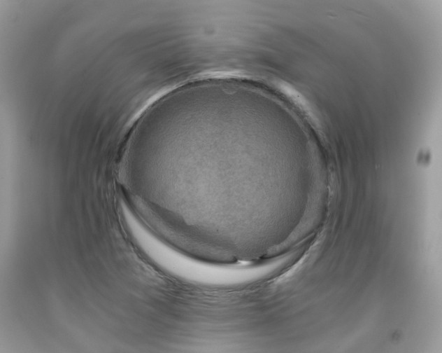 X0000092001361200709061430
