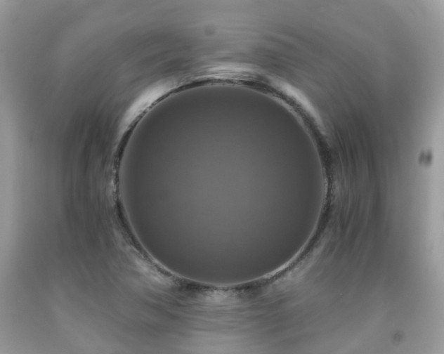 X0000092001362200709061430