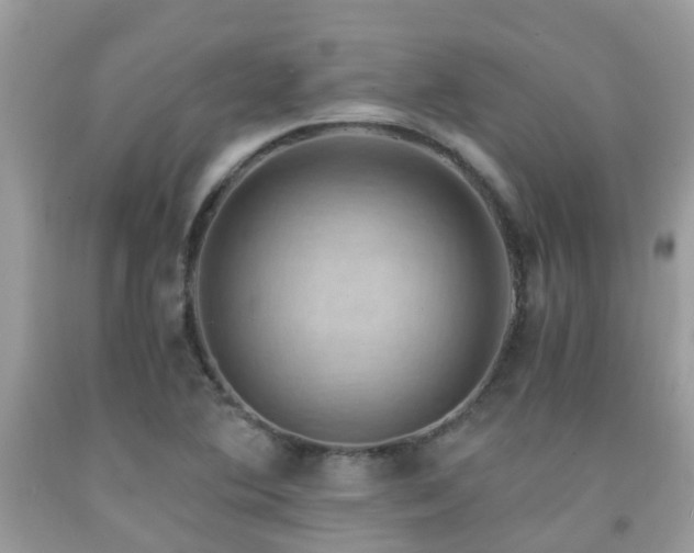 X0000092001364200709061430