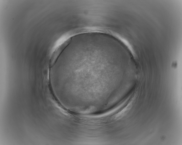 X0000092001365200709061430