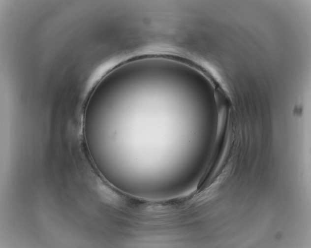 X0000092001366200709061430