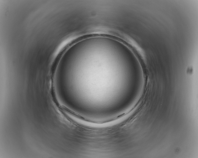 X0000092001368200709061430