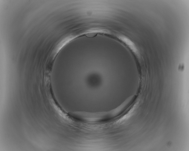 X0000092001369200709061430