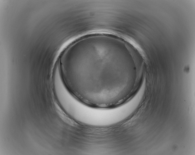X0000092001372200709061430